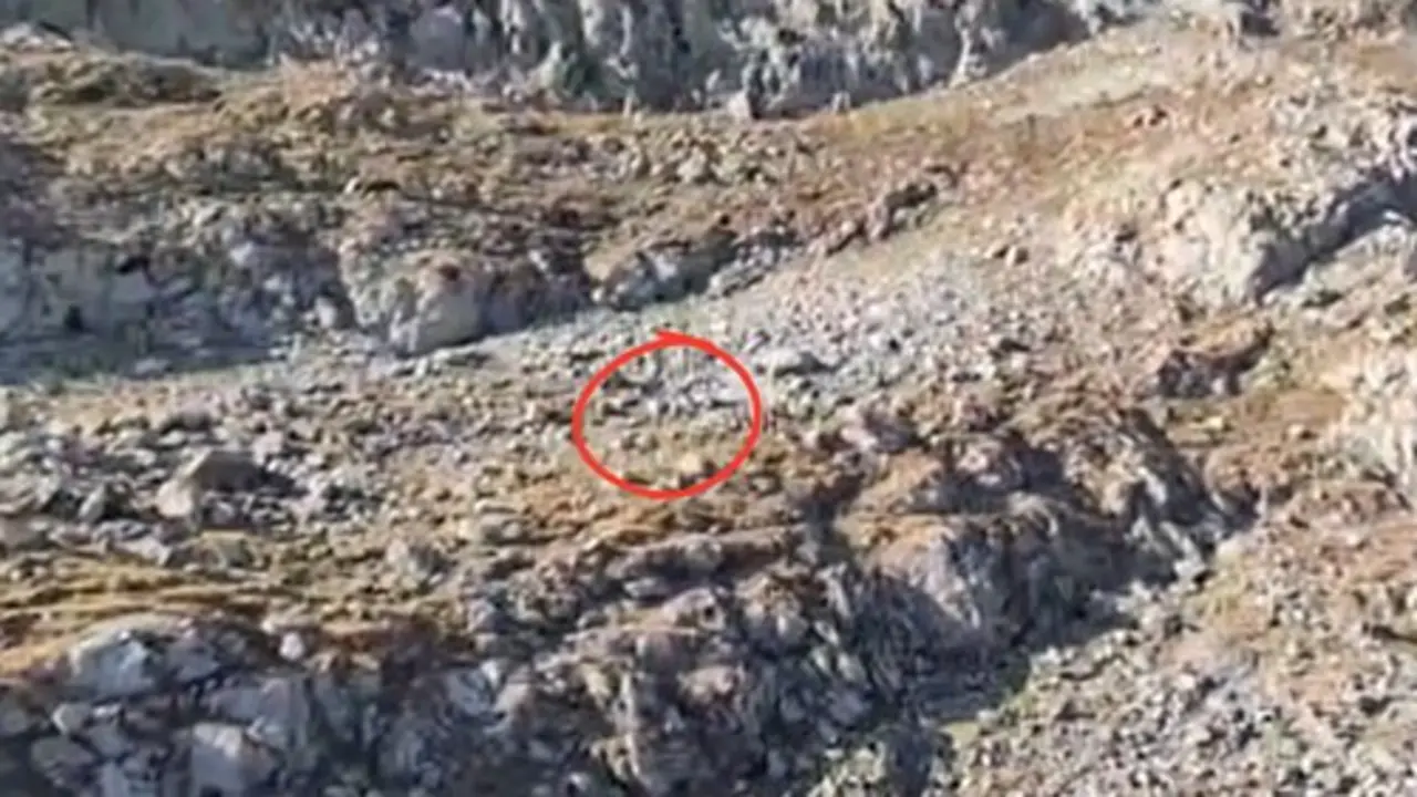 rescate monta&ntilde;a