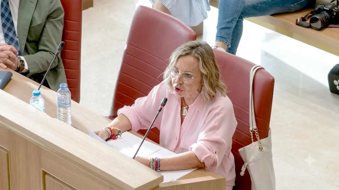 Blanca Herreros, durante el pleno celebrado en el Ayuntamiento de Le&oacute;n.