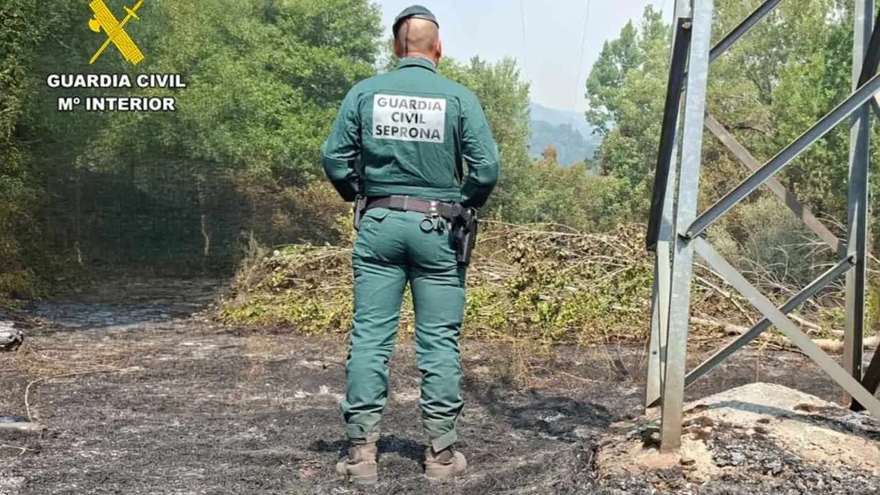 Un Guardia Civil del Seprona en el lugar del origen del incendio.