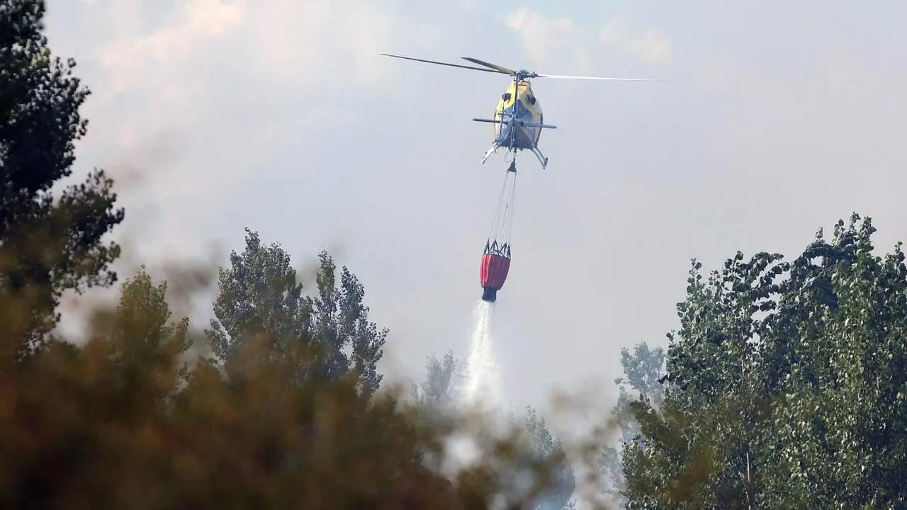 El incendio de Cifuentes de Rueda baja a nivel cero tras una noche de trabajo. La Junta rebaja la gravedad potencial del fuego, que lleg&oacute; a amenazar m&aacute;s de 30 hect&aacute;reas arboladas y moviliz&oacute; hasta 31 medios de extinci&oacute;n. Fotos: Peio Garc&iacute;a