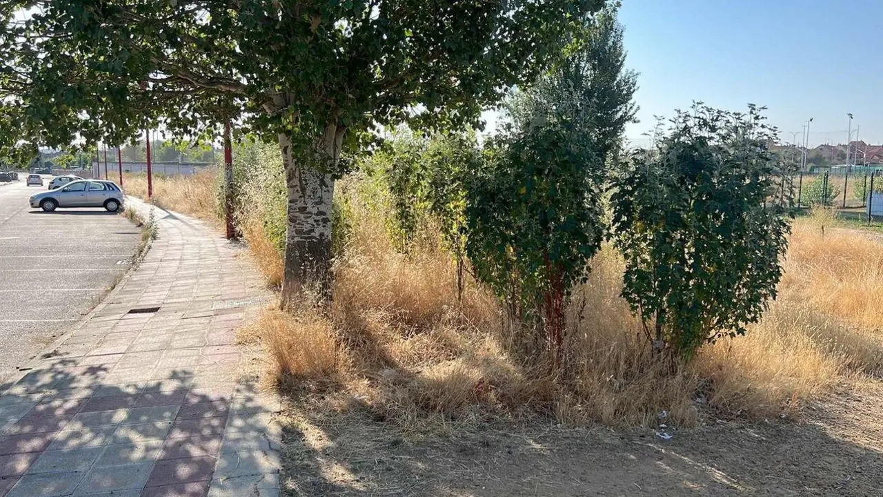 Imagen del estado que presentan algunos de los solares de San Andr&eacute;s del Rabanedo.