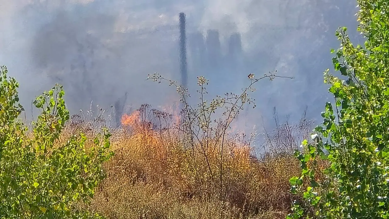 incendio oteruelo (6)