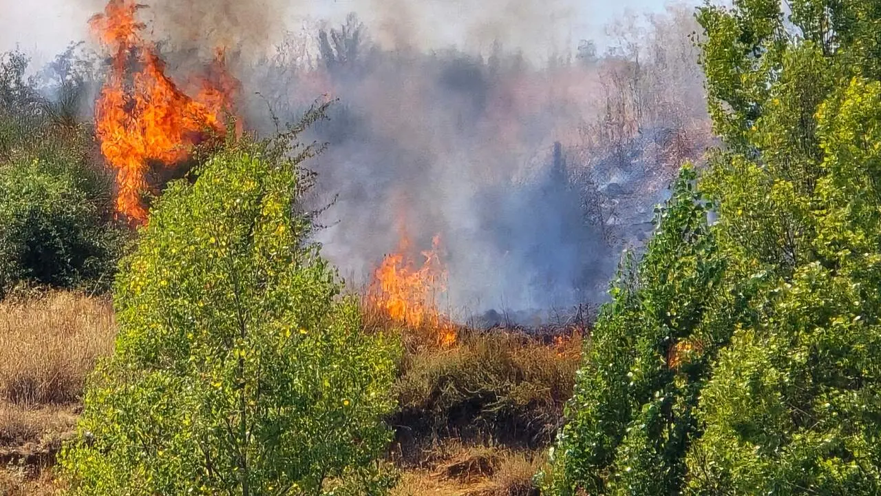 incendio oteruelo (8)