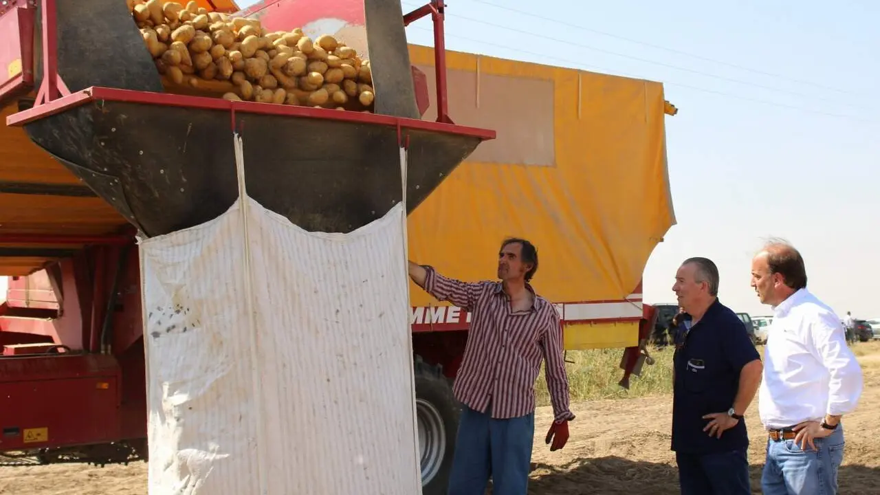 El consejero de Agricultura, Ganader&iacute;a, Medio Rural y Pol&iacute;tica Ambiental, Joaqu&iacute;n Antonio Pino, presenta un estudio de los costes de producci&oacute;n del cultivo de patata en Castilla y Le&oacute;n.
