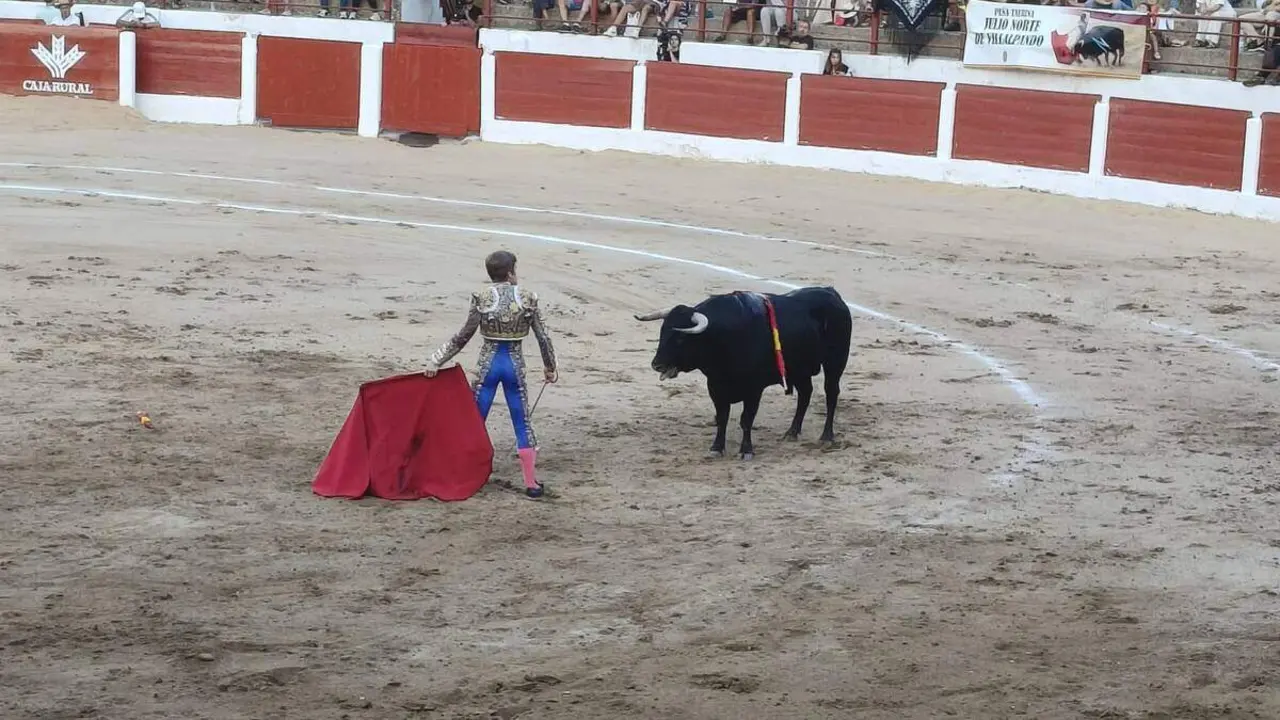 toros astorga (15)