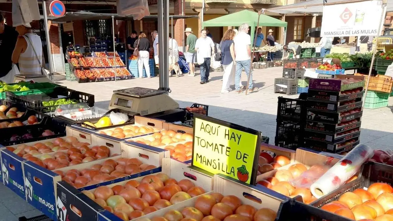 Imagen de la tradicional Feria del Tomate de Mansilla de las Mulas.