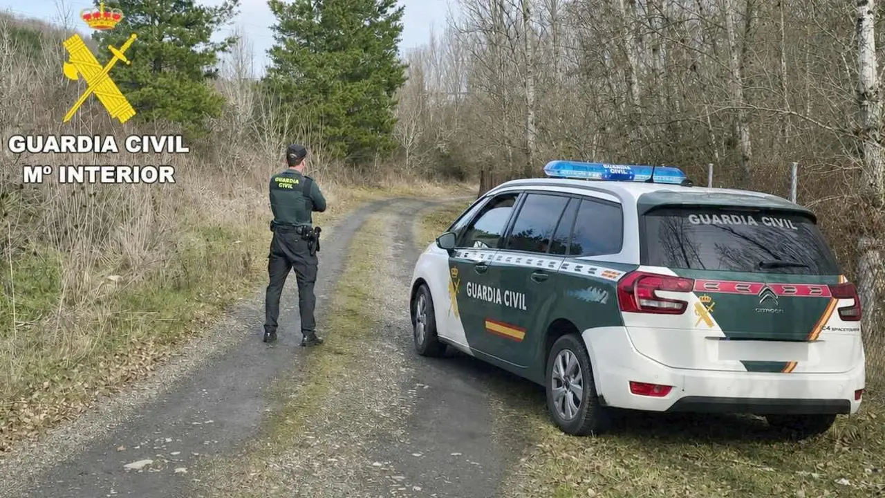 Efectivos de la Guardia Civil durante un operativo de b&uacute;squeda.