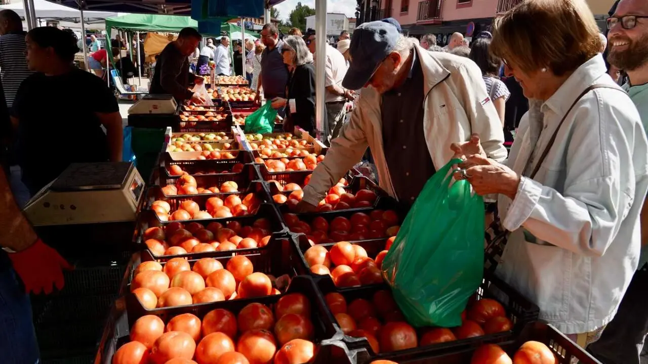 feria tomate mansilla (5)
