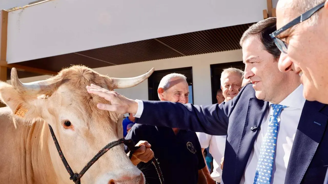 El presidente de la Junta de Castilla y Le&oacute;n, Alfonso Fern&aacute;ndez Ma&ntilde;ueco, inaugura la Feria del Sector Agropecuario y 37 Exposici&oacute;n Internacional de Ganado Puro, Salamaq 2026 junto al presidente de la Diputaci&oacute;n de Salamanca, Javier Iglesias, y la secretaria de Estado de Agricultura y Alimentaci&oacute;n, Bego&ntilde;a Garc&iacute;a Bernal. Foto: Susana Mart&iacute;n.