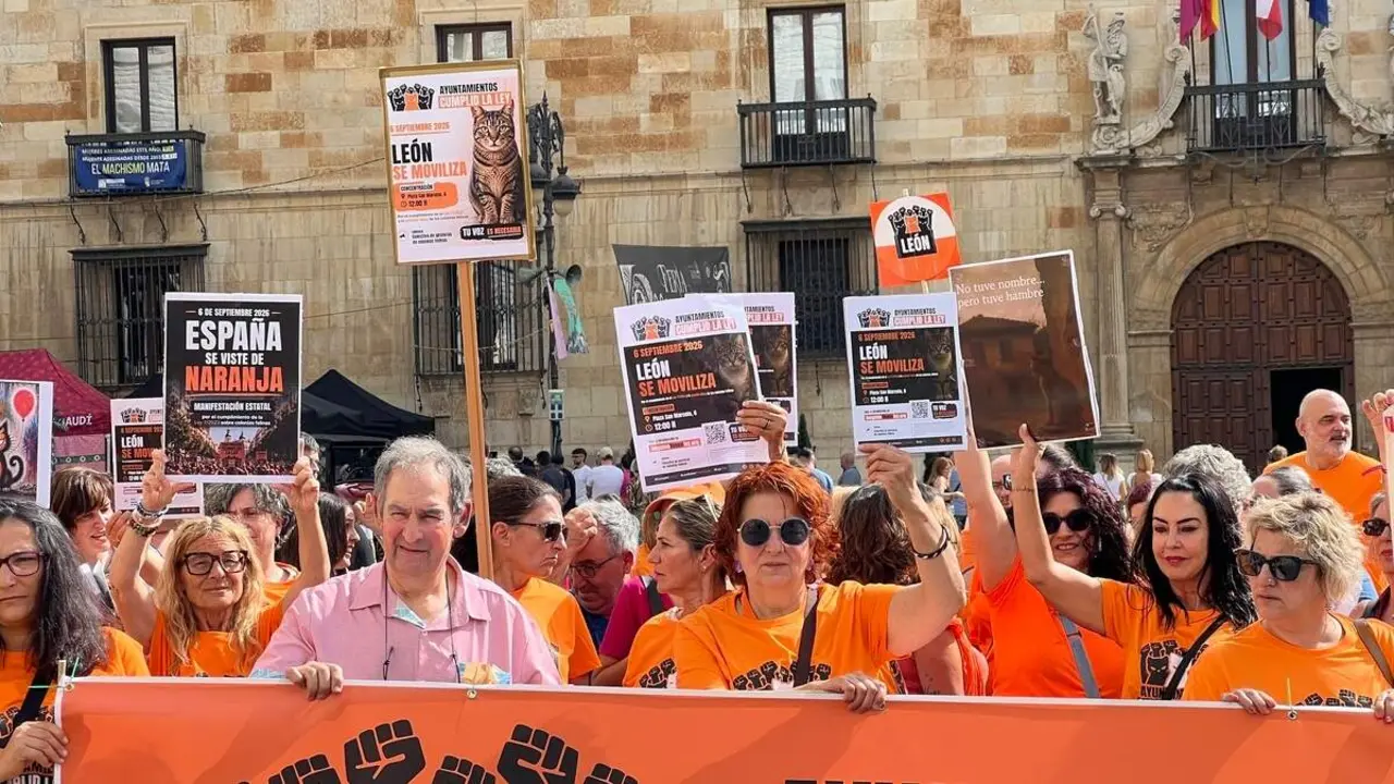 Concentraci&oacute;n en Le&oacute;n por las colonias felinas