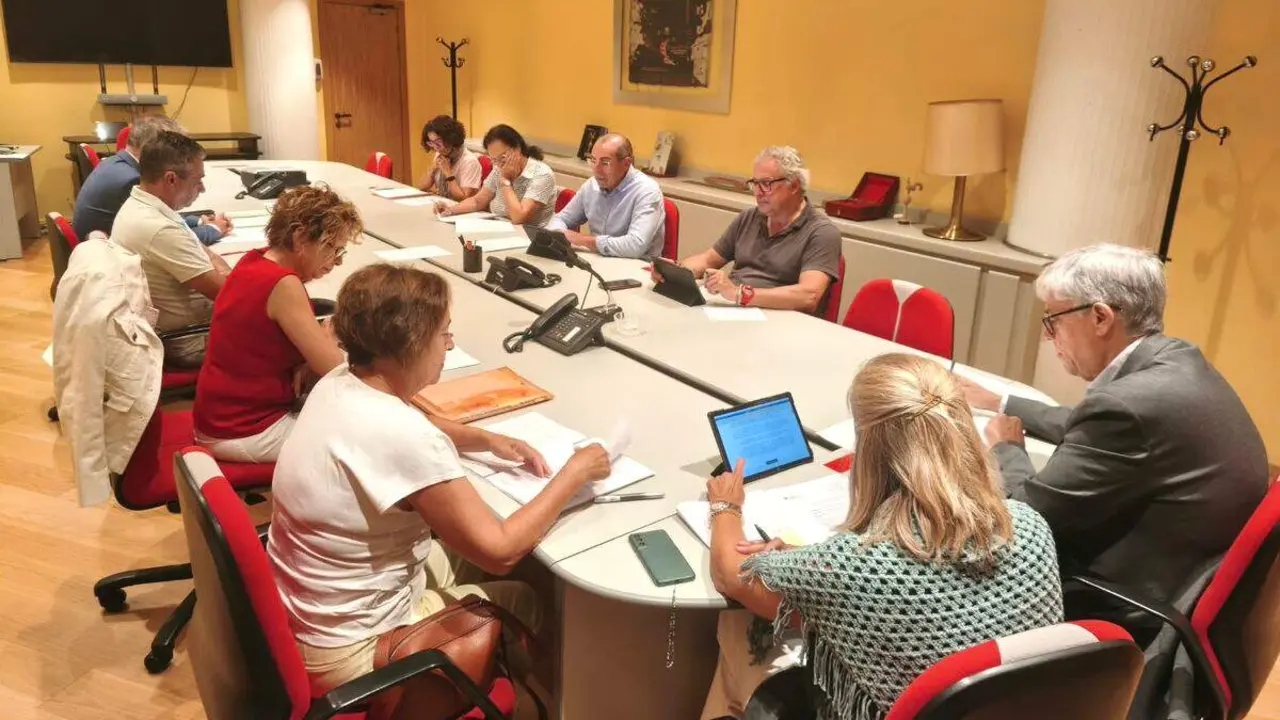 Comisi&oacute;n de Patrimonio