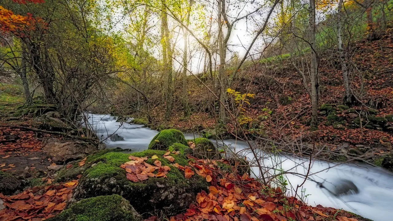 oto&ntilde;o-en-laciana-7