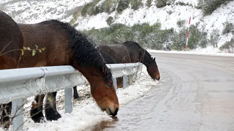 La nieve cubre la montaña de León en el puerto de Pajares y la comarca de los Argüellos. Fotos: Peio García