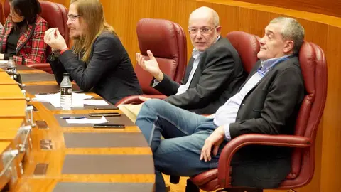 Cinco personas de Conceyu País Llionés que portaban en sus camisetas cada una de las letras de la palabra ‘Lexit’ son desalojadas del pleno.