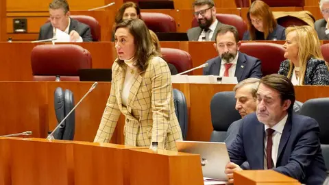 Cinco personas de Conceyu País Llionés que portaban en sus camisetas cada una de las letras de la palabra ‘Lexit’ son desalojadas del pleno.