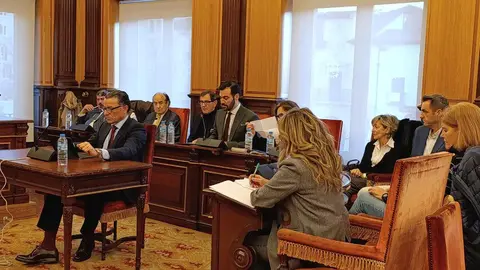 Los once votos en contra del Partido Socialista, sumados a las seis abstenciones de Unión del Pueblo Leonés y del concejal lo adscrito, Ildefonso del Fueyo, impidieron hoy la aprobación en el pleno municipal del Ayuntamiento de León de la moción de reprobación al alcalde, José Antonio Diez.