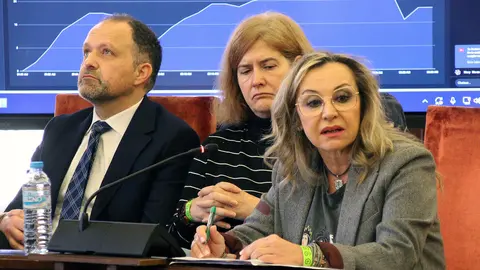 El Ayuntamiento de León celebra un pleno ordinario en el que se vota en contra de la moción de reprobación al alcalde, José Antonio Diez, presentada por el Partido Popular. Fotos: Peio García