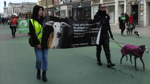 Manifestación 