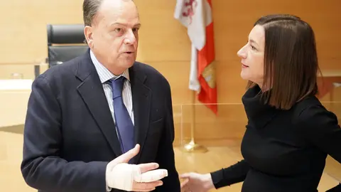 El presidente del Consejo de Cuentas de Castilla y León, Mario Amilivia, presenta en la Comisión de Economía y Hacienda de las Cortes el informe 'Fiscalización de los beneficios fiscales de la Comunidad Autónoma de Castilla y León, ejercicio 2021'. Foto: Rubén Cacho.