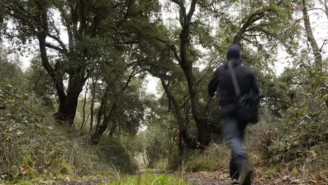 El zofreral de Cobrana (León), premiado como 'Bosque del año 2025', por la ONG Bosque sin Fronteras. Fotos: César Sánchez.