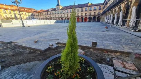 Una nueva Plaza Mayor para León. Y ahora ya se deja ver. Tras una inversión de 1,9 millones de euro el corazón del Casco Histórico de la ciudad asoma renovado y con una nueva proyección. A partir del verano mercados, ferias y fiestas regresarán a este tradicional espacio que, sin embargo, se perderá por un año el tradicional encuentro de la Semana Santa.