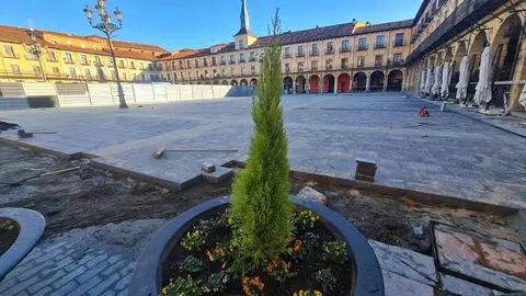 Una nueva Plaza Mayor para León. Y ahora ya se deja ver. Tras una inversión de 1,9 millones de euro el corazón del Casco Histórico de la ciudad asoma renovado y con una nueva proyección. A partir del verano mercados, ferias y fiestas regresarán a este tradicional espacio que, sin embargo, se perderá por un año el tradicional encuentro de la Semana Santa.