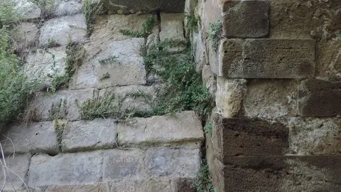 El director general de Patrimonio Cultural, Juan Carlos Prieto, ha presentado hoy, junto a la alcaldesa de Sahagún, Paula Conde, las obras de restauración y puesta en valor del Puente Canto y su entorno, en Sahagún.