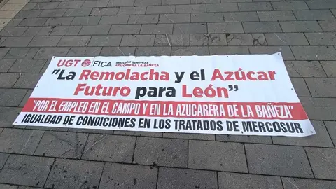 Miles de leoneses recorren las calles de la capital para exigir inversión, proyectos y futuro para la provincia. Fotos: Peio García | Heraldo de León