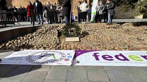 León se ha unido este viernes en la lucha frente a las enfermedades raras en dos convocatorias en el centro de la ciudad y en el campus universitario. Fotos: Ayto León