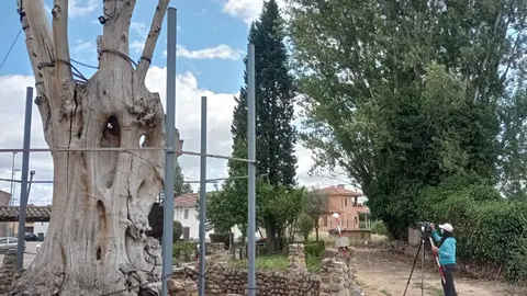 Iniciativa educativa 'De la Naturaleza a la Tecnología: La Ingeniería Forestal en Acción', organizada por la Escuela de Ingeniería Agraria y Forestal del Campus de Ponferrada de la Universidad de León, a través del grupo de innovación docente Biersoft.