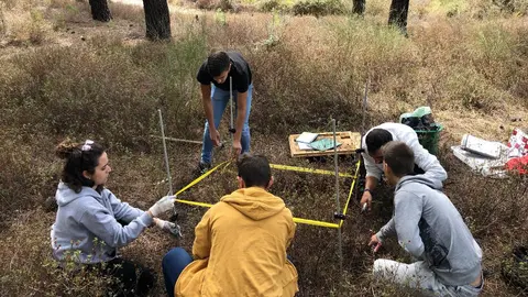 Iniciativa educativa 'De la Naturaleza a la Tecnología: La Ingeniería Forestal en Acción', organizada por la Escuela de Ingeniería Agraria y Forestal del Campus de Ponferrada de la Universidad de León, a través del grupo de innovación docente Biersoft.