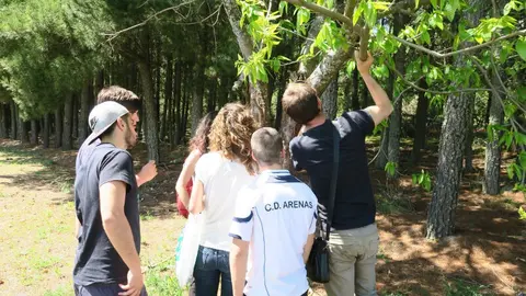 Iniciativa educativa 'De la Naturaleza a la Tecnología: La Ingeniería Forestal en Acción', organizada por la Escuela de Ingeniería Agraria y Forestal del Campus de Ponferrada de la Universidad de León, a través del grupo de innovación docente Biersoft.