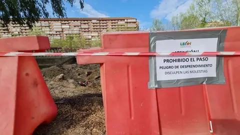 La caída de un árbol aplasta uno de los miradores en el paseo del río Bernesga en León capital.