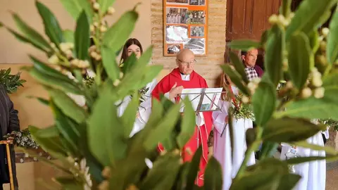 Es el otro Domingo de Ramos, alejado de las grandes congregaciones, humilde, con pocos fieles pero devotos, ramas de laurel y su propia 'catedral', en esta ocasión en la pedanía de Oteruelo.