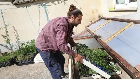 El capataz forestal, Emilio Medina Román, cultiva hortalizas de secano en Villalcazar de Sirga(Palencia) como parte del proyecto de recuperación y conservación de semillas, en la imagen su huerta de La Mielga donde ha cultivado diversas variedades de ajos. Fotos: Brágimo.