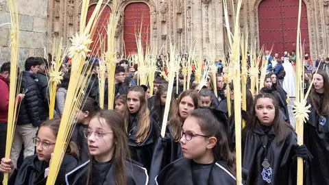 Procesión del Domingo de Ramos en Salamanca.  Fotos: Jesús Formigo.