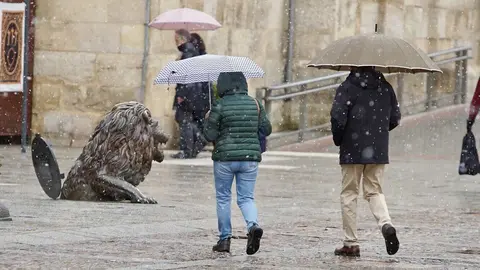 La cota de nieve ha caído este Miércoles Santo por debajo de los mil metros y los copos se han dejado ver en todo El Bierzo y en León capital. Fotos: Campillo | César Sánchez