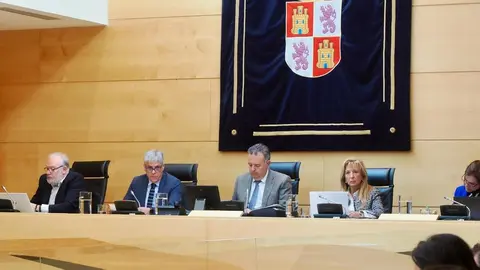 Comparecencia de Eduardo Diego en la Comisión de Presidencia de las Cortes de Castilla y León.