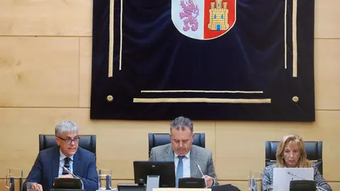Comparecencia de Eduardo Diego en la Comisión de Presidencia de las Cortes de Castilla y León.