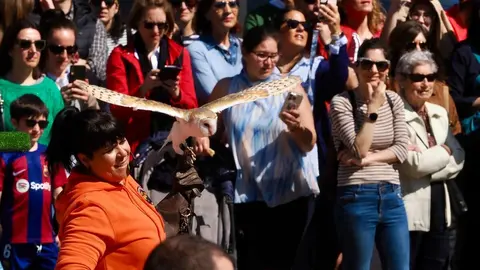 Jornada de puertas abiertas del Parlamento Autonómico, con motivo del Día de la Comunidad.