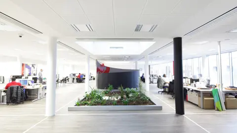 Nacida en 1989 con cinco empleados y una visión tecnológica, la firma leonesa celebra su 35º aniversario con Tomás Castro como CEO y con más de 130 trabajadores, presencia internacional y un compromiso firme con la innovación, la sostenibilidad y la responsabilidad social. En las imágenes, un viaje por Proconsi, en su momento actual, y en la memoria de aquellos innovadores inicios.