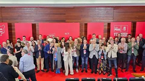 XV Congreso Provincial del PSOE en León.