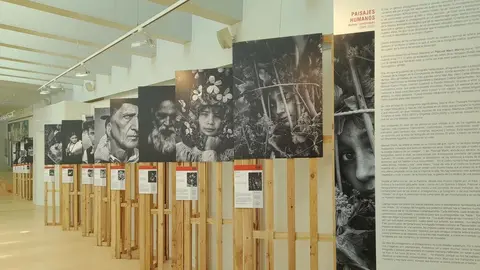 Exposición 'Human Landscapes' de Pascual Marín Marina.