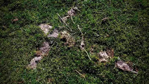 Exhumaciones realizadas durante los trabajos acometidos en Busdondo (3)