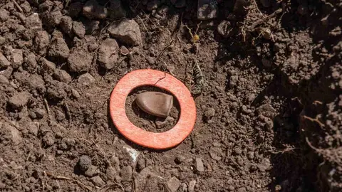 Exhumaciones realizadas durante los trabajos acometidos en Busdondo (12)