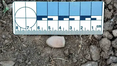 Exhumaciones realizadas durante los trabajos acometidos en Busdondo (17)