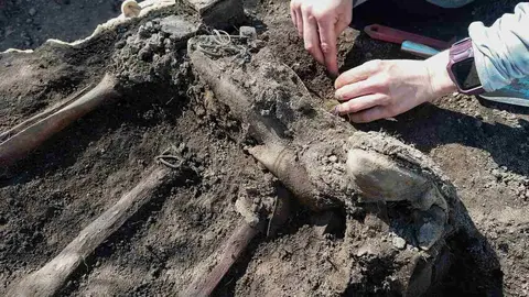 Exhumaciones realizadas durante los trabajos acometidos en Busdondo (21)