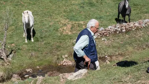 Exhumaciones realizadas durante los trabajos acometidos en Busdondo (25)