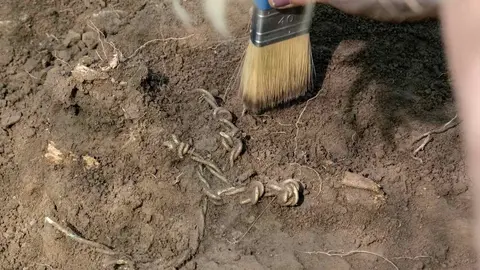 Exhumaciones realizadas durante los trabajos acometidos en Busdondo (45)