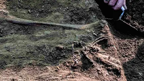 Exhumaciones realizadas durante los trabajos acometidos en Busdondo (46)